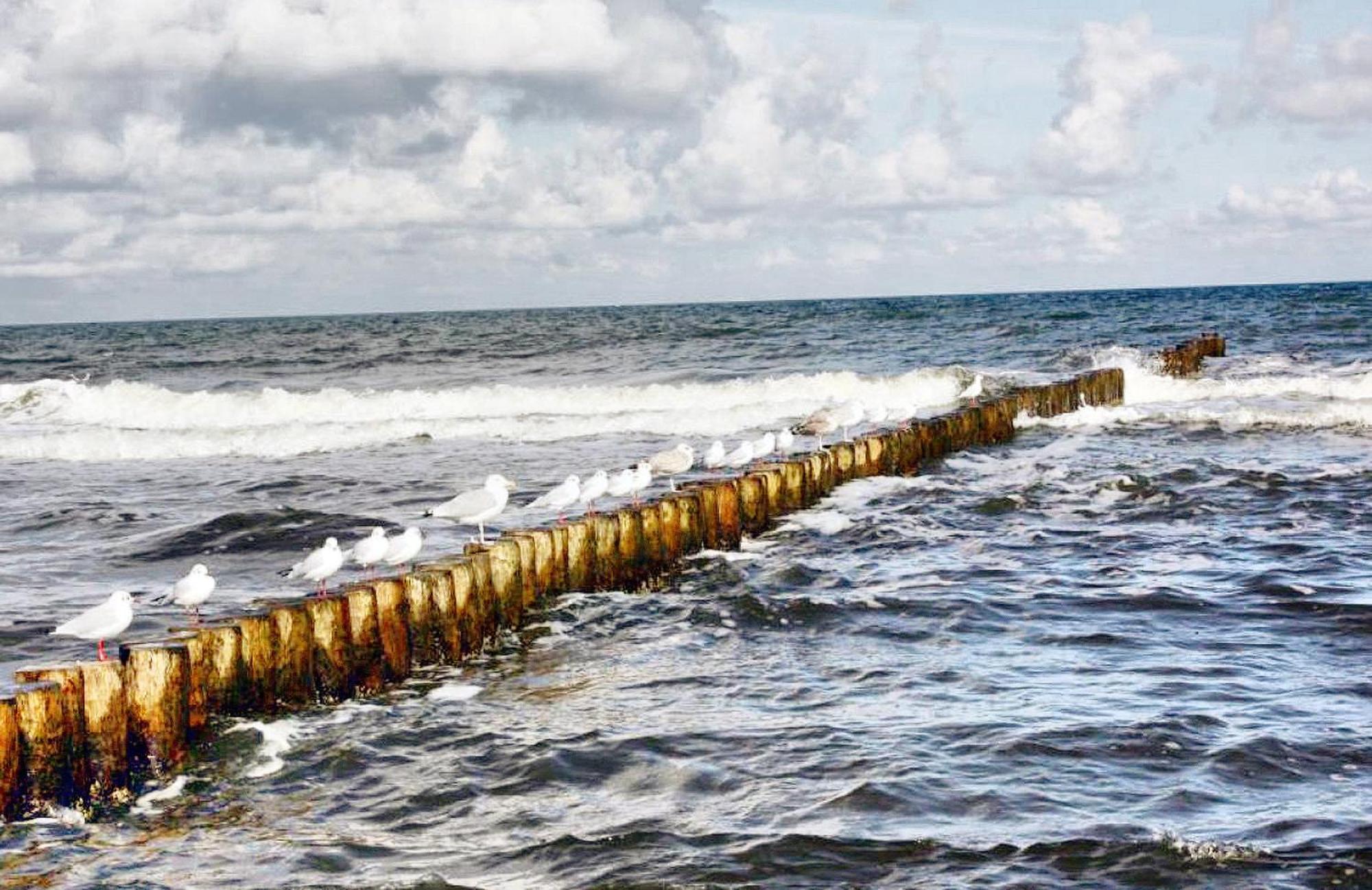 Haus Seegurke Zingst Dış mekan fotoğraf